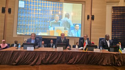 استثمارات وفرص تصديرية تجمع مصر والنيجر على طاولة منتدى الأعمال المشترك