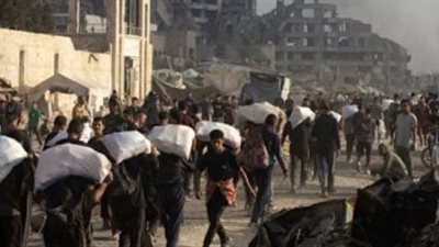 محمود حسين: مصر درع القضية الفلسطينية وصخرة تتحطم عليها مخططات التهجير