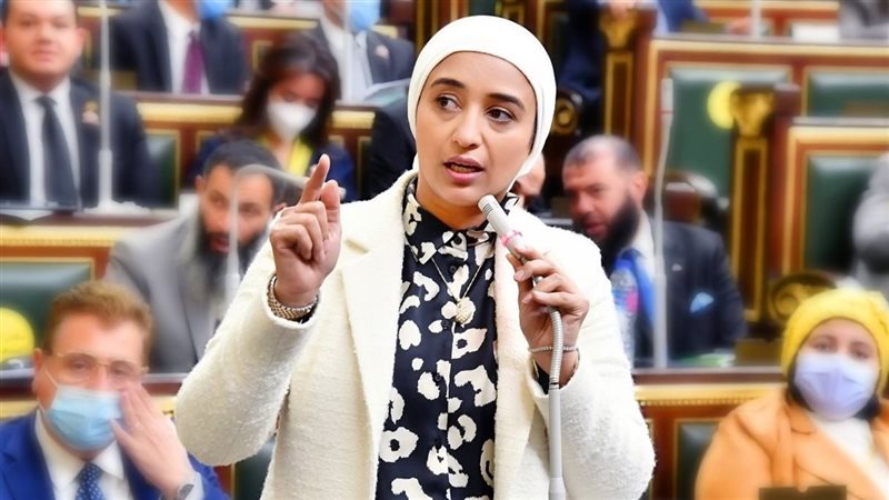 النائبة أميرة أبو