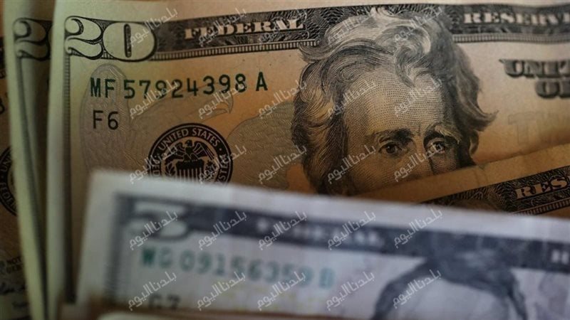 سعر صرف الأخضر اليوم