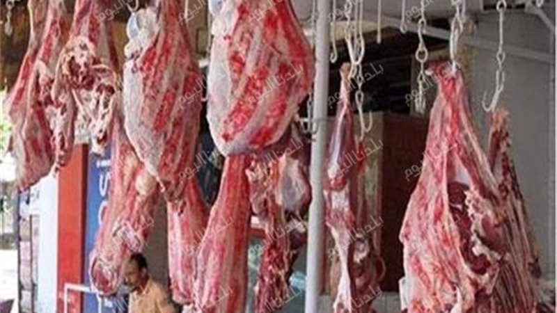 أسعار اللحوم الحمراء