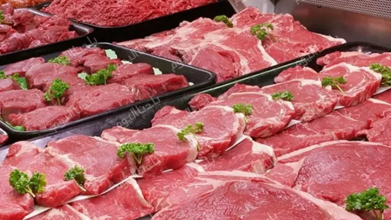 أسعار اللحوم اليوم