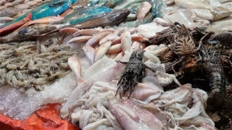 أسعار السمك اليوم