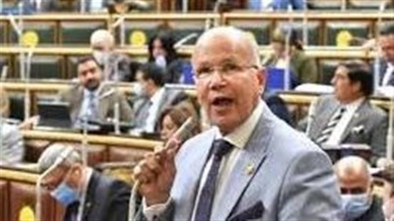النائب سيد شمس الدين