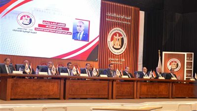 طريقة تصويت المصريين بالخارج في انتخابات مجلس الشيوخ 2025 خطوة بخطوة