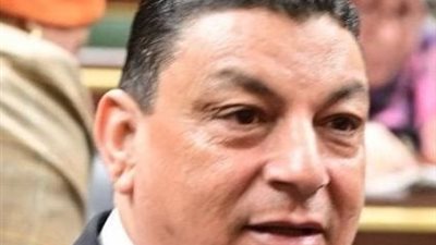 برلماني: خطاب الرئيس السيسي يجسد الموقف المصري الثابت تجاه القضية الفلسطينية