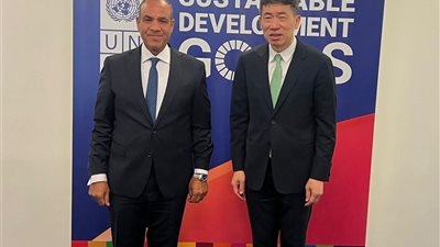 وزير الخارجية يلتقي مسؤولا أمميا.. ويؤكد التزام مصر بدعم القضية الفلسطينية