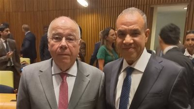 وزير الخارجية والهجرة يلتقي بنظيره البرازيلي خلال انعقاد المؤتمر الدولي بنيويورك 