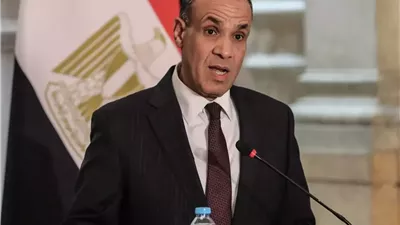 وزير الخارجية: مصر ستعقد مؤتمرا دوليا لإعادة إعمار قطاع غزة