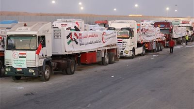  خبيرة شئون دولية: لا يمكن أن يملي أحد على مصر شروطه (خاص)