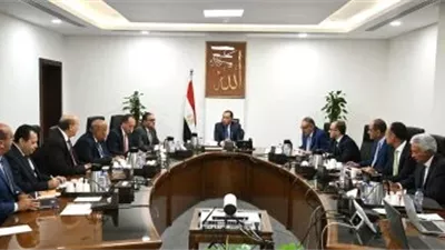 مبادرة حكومية لخفض الأسعار بعد تراجع الدولار في مصر 2025.. ما القصة؟