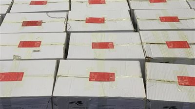 لأول مرة.. مصر تُصدر تقاوي بطاطس إلى أوزبكستان بتقنيات زراعية متطورة