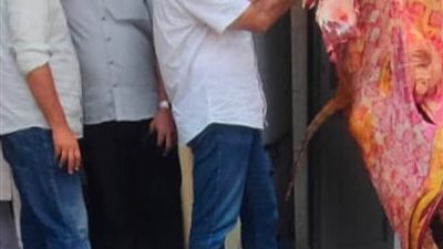 ضبط 2.5 طن لحوم وأسماك فاسدة.. وتحرير 22 محضرًا