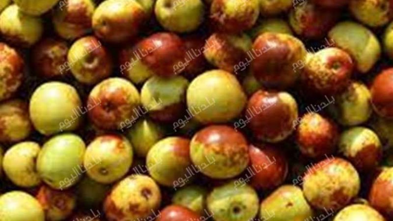 أسعار الفاكهة بالأسواق