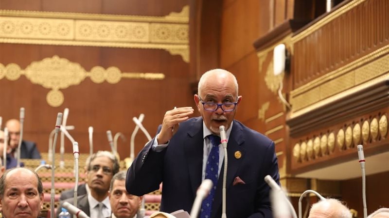 النائب حازم الجندى: