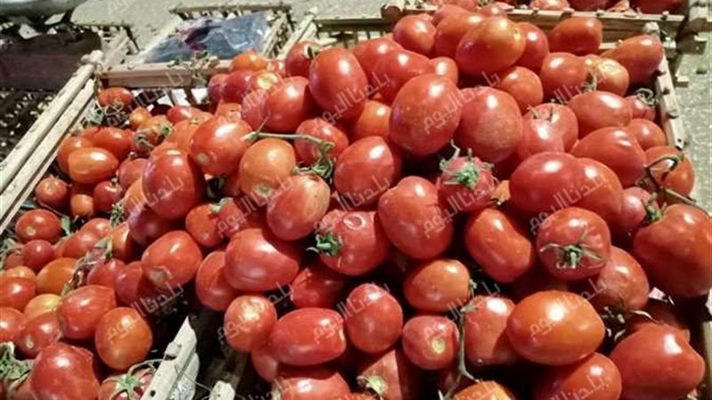 سعر الخضار بالأسواق