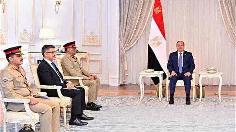 السيد الرئيس السيسي