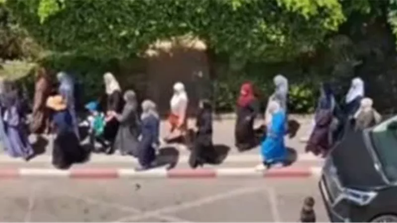 مظاهرات الإخوان فى