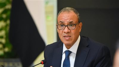 وزير الخارجية: 70% من مساعدات غزة منذ أكتوبر 2023 بتمويل مصري