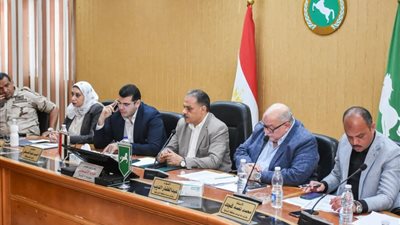 محافظ الشرقية يتابع سير انتظام اليوم الأول لانتخابات مجلس الشيوخ 2025