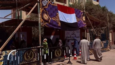 طوابير أمام لجان الشيوخ بأسوان.. ومشاركة لافتة للرموز الدينية خلال جولة المحافظ
