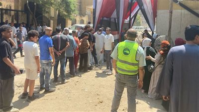 «الوطنية للانتخابات» تكشف خطوات الفرز وإعلان نتائج انتخابات مجلس الشيوخ 2025