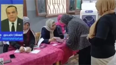 انتخابات مجلس الشيوخ 2025.. الإعداد الإلكتروني والتنظيم المحكم يرفع نسب المشاركة