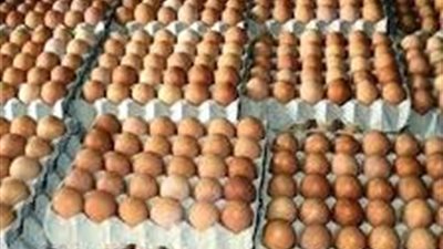 تعرف على أسعار كرتونة البيض اليوم السبت 2/8/ 2025