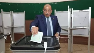 نائب رئيس «الجبهة الوطنية»: المشاركة في انتخابات الشيوخ 2025 دعم للقيادة السياسية