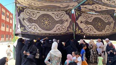 انتخابات مجلس الشيوخ.. إقبال غير مسبوق على لجان كفر الشيخ