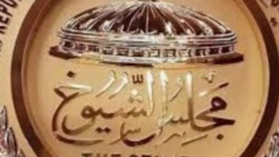 مؤشرات أولية: وليد زيتون وسامي سعد يكتسحان سباق الانتخابات في كفر الشيخ