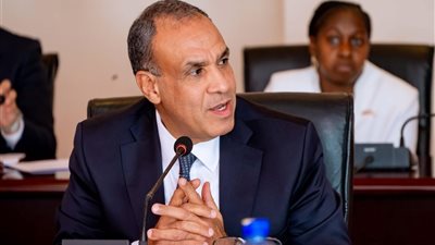 وزير الخارجية: الوضع في غزة كارثي.. ومصر تدعو لفتح المعابر دون عوائق