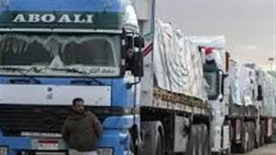 تنسيق مصري إماراتي لدعم غزة.. وصول قافلة مساعدات إماراتية جديدة لقطاع غزة