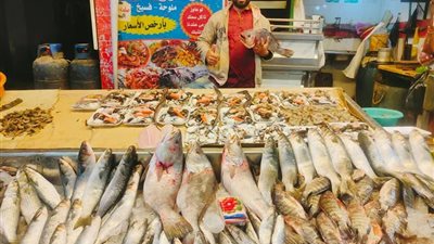 استقرار أسعار الأسماك في الأسواق.. والبلطي يبدأ من 80 جنيها
