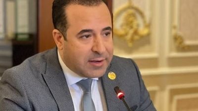 حجب التيك توك في مصر.. «اتصالات النواب» تعلن مفاجأة جديدة 