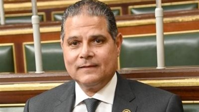 برلماني: مشاركة المصريين في الخارج تمنح الانتخابات بعداً وطنياً كبيراً