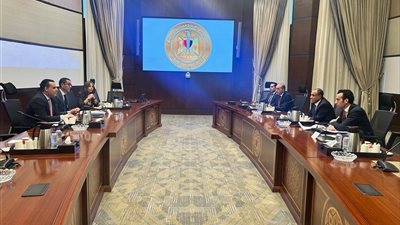 وزيرا الخارجية والاستثمار يبحثان سبل تعزيز التعاون الاقتصادي وجذب الاستثمارات الأجنبية