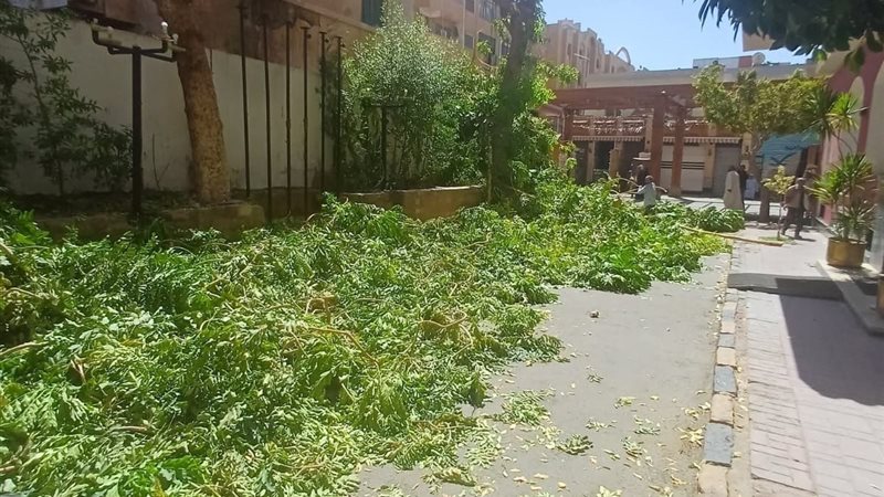 الفندق