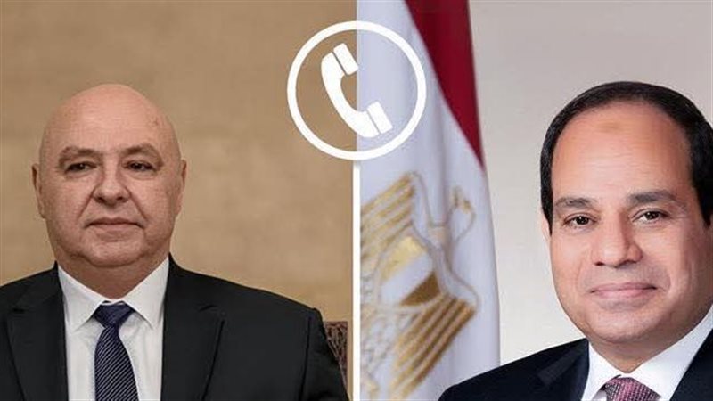 الرئيس السيسي ونظيره