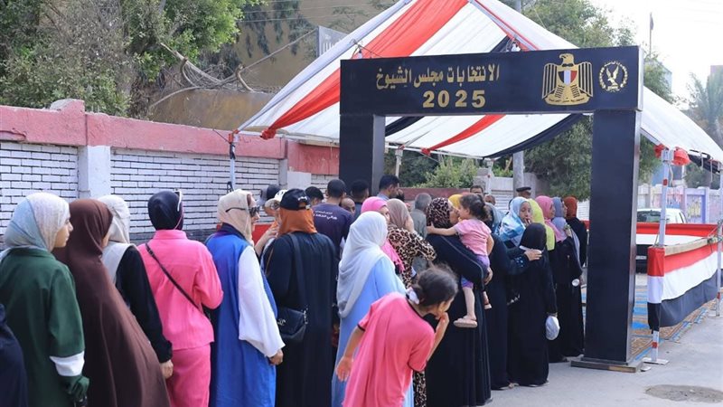 انتخابات مجلس الشيوخ