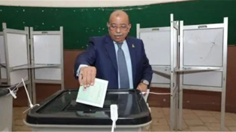 محمود شعراوي نائب