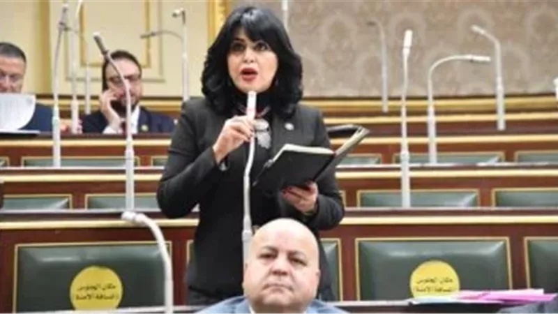النائبة هند رشاد