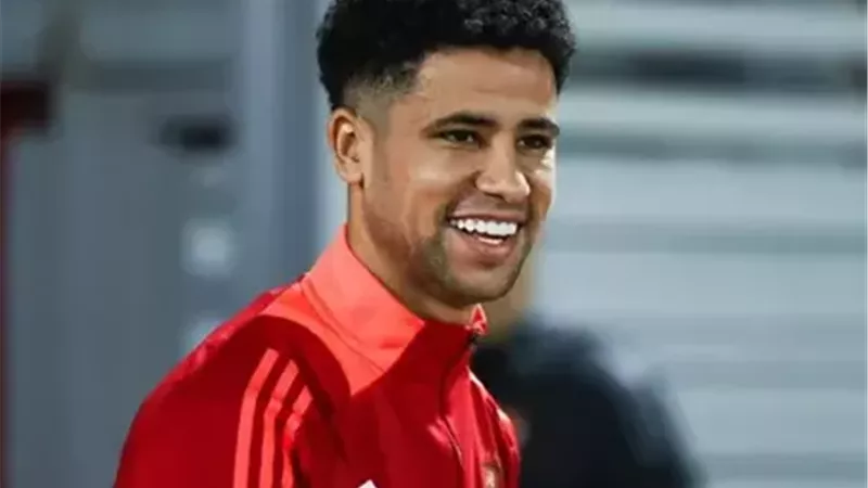 رضا سليم