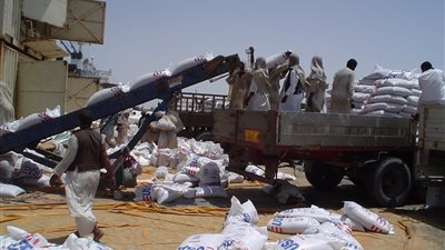 مكتب الإعلام الحكومي في غزة: نقص حاد في المساعدات وتزايد أعداد الضحايا