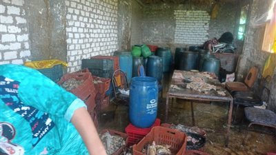 ضبط 5 أطنان فسيخ غير صالح للاستهلاك الآدمي بكفر الشيخ