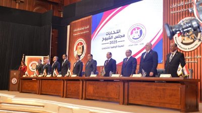 الوطنية للانتخابات: 11 مليون و837 ألف صوت في الشيوخ 2025