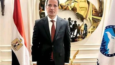 عضو الشيوخ: الدفاع عن الدولة يتطلب فهماً عميقاً لمكوناتها وتحدياتها (خاص)