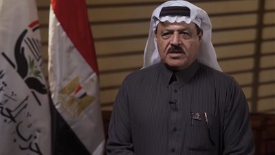 عضو الشيوخ: عندما يتحدث وزير الخارجية فيجب على الجميع أن ينتبه (خاص)