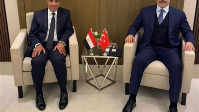 وزير الخارجية يؤكد على التوافق مع تركيا حول أزمات المنطقة