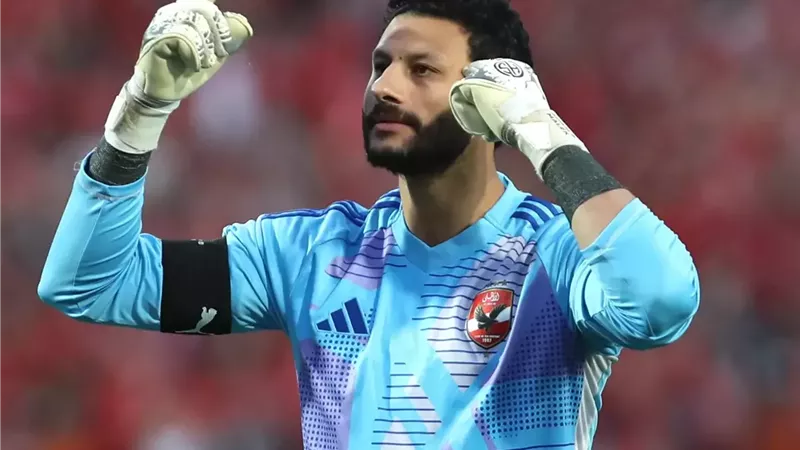 محمد الشناوي